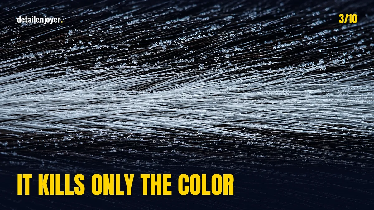 Image for post 3